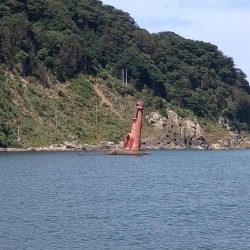 エギングがダメだったので